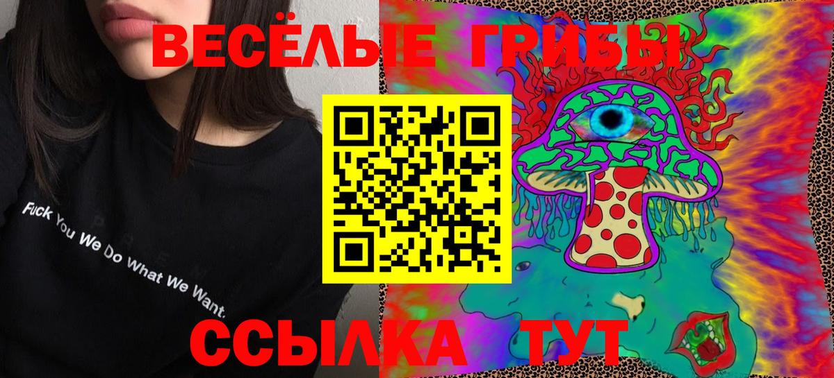 Псилоцибиновые грибы Magic Shrooms  Галлюциногенные грибы ЛСД  Тамбов  Вход с VPN 